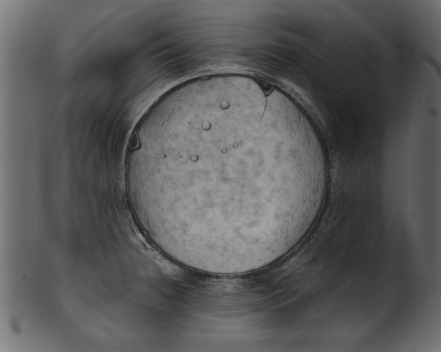 X0000101211236200807181411