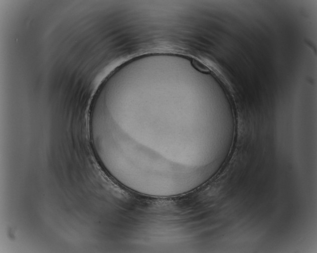 X0000101211238200807181411