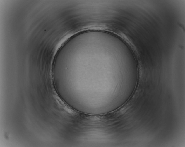 X0000101211240200807181411