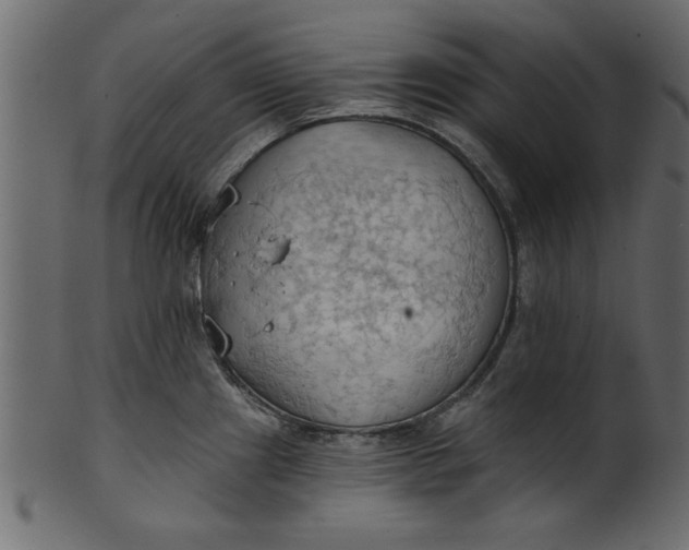 X0000101211241200807181411