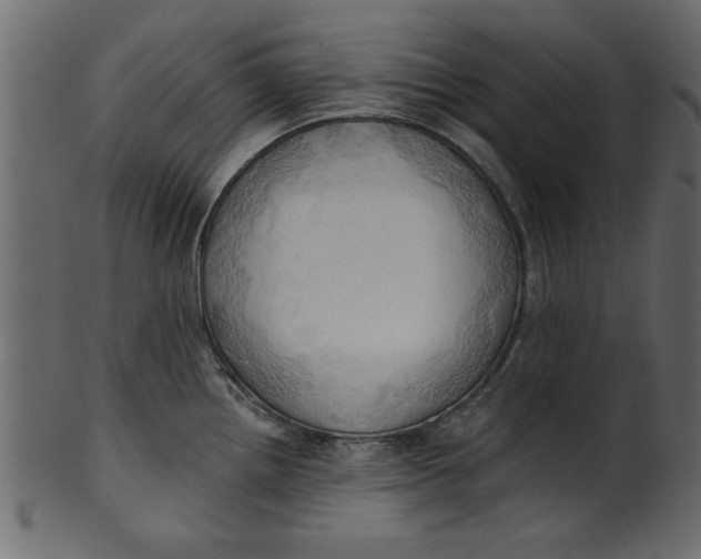 X0000101211242200807181411