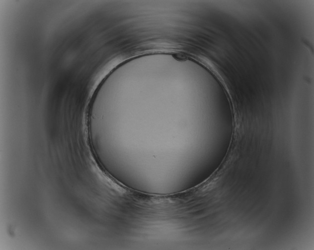 X0000101211243200807181411