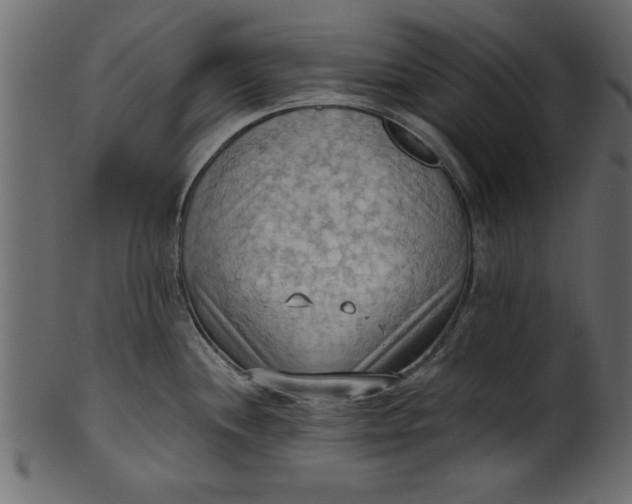 X0000101211244200807181411