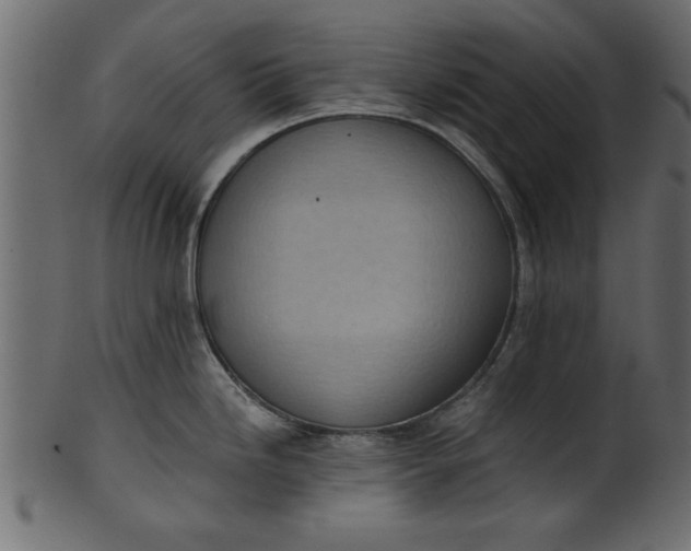 X0000101211246200807181411