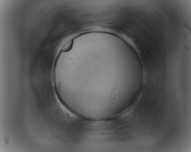 X0000101211247200807181411