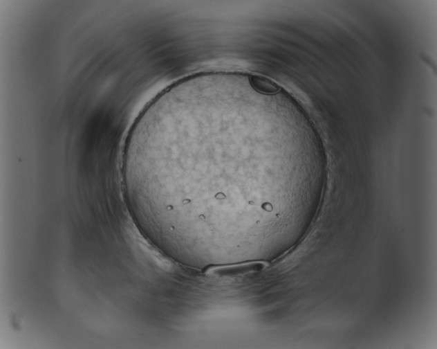 X0000101211248200807181411