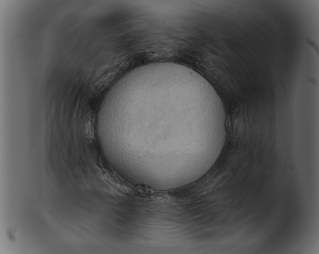 X0000101211250200807181410