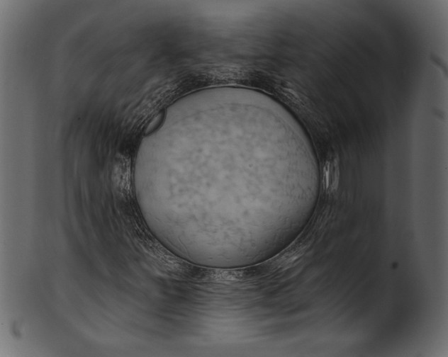 X0000101211251200807181410