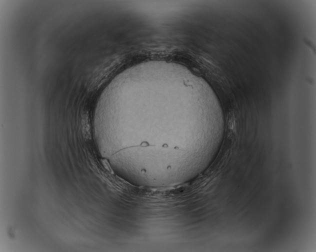 X0000101211252200807181410