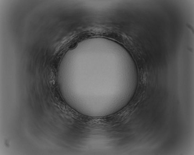 X0000101211253200807181410