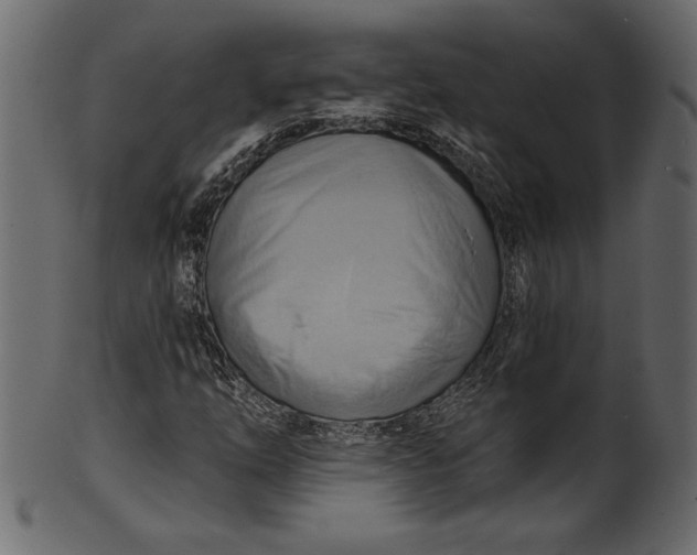 X0000101211254200807181410