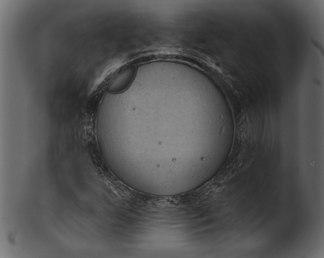 X0000101211255200807181410