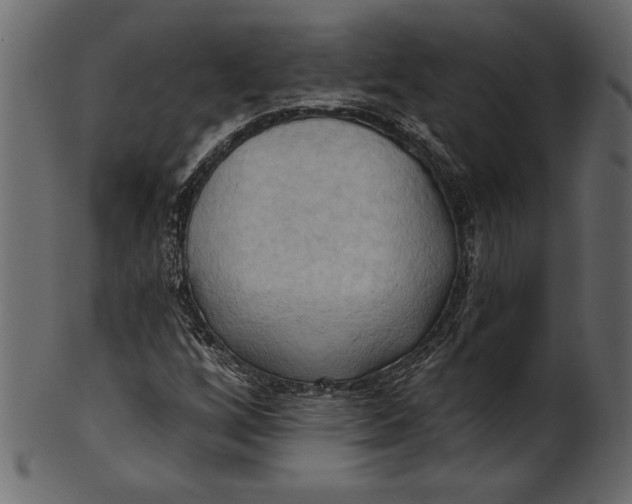 X0000101211256200807181410