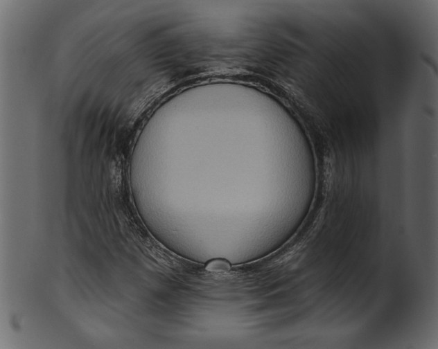 X0000101211257200807181410