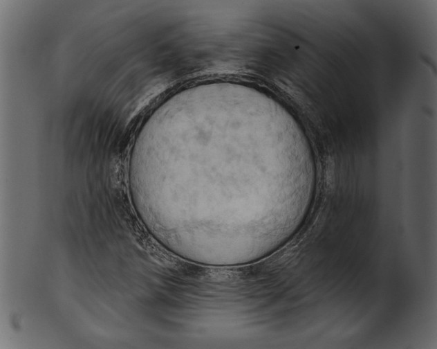 X0000101211258200807181410