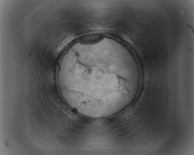 X0000101211259200807181410