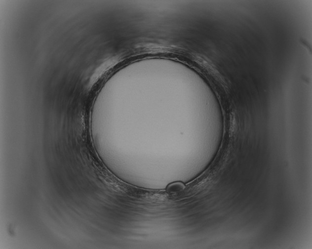 X0000101211261200807181410