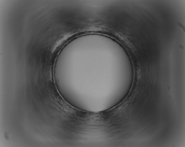 X0000101211262200807181410