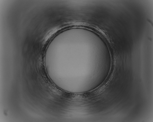 X0000101211263200807181410