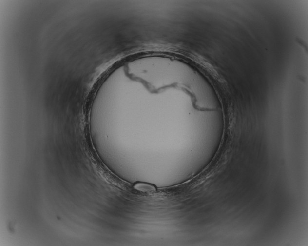 X0000101211264200807181410