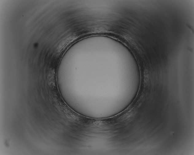 X0000101211265200807181410