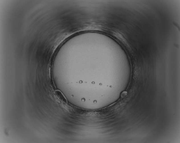 X0000101211268200807181410