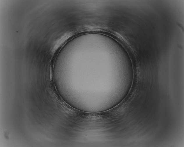 X0000101211269200807181410