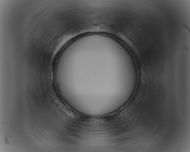 X0000101211270200807181410