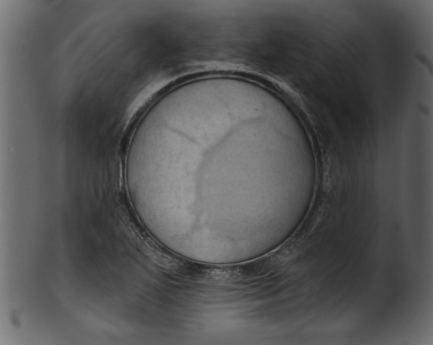 X0000101211271200807181410