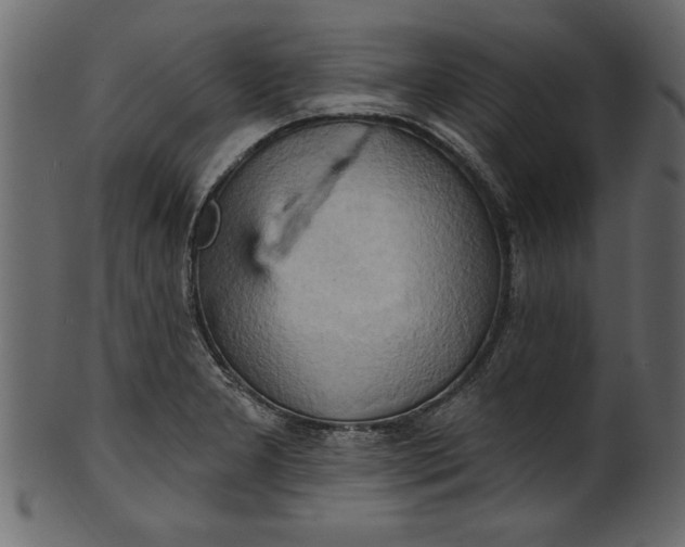 X0000101211277200807181410