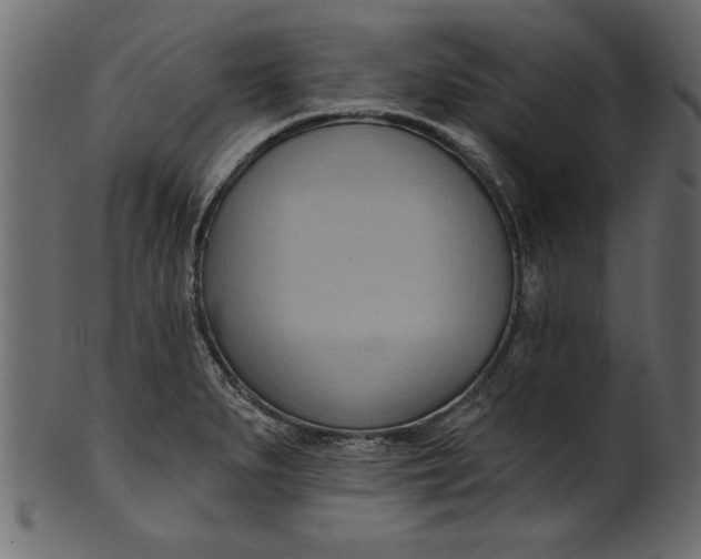 X0000101211279200807181410