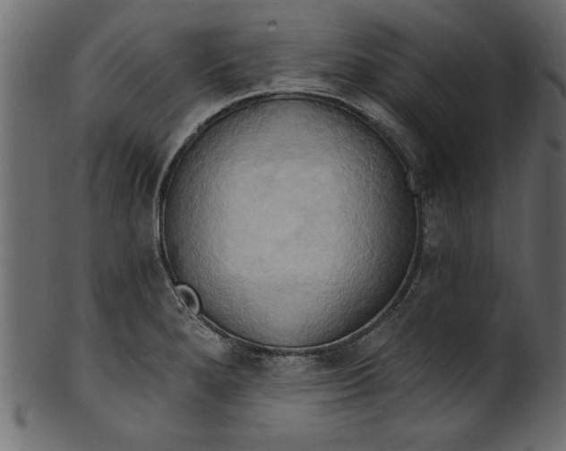 X0000101211280200807181410