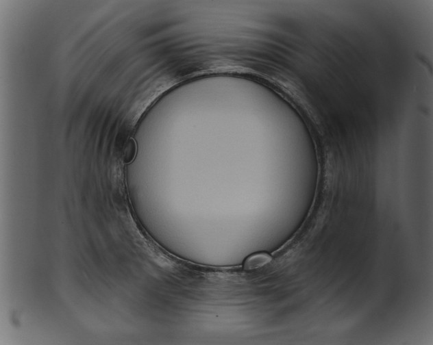 X0000101211281200807181410