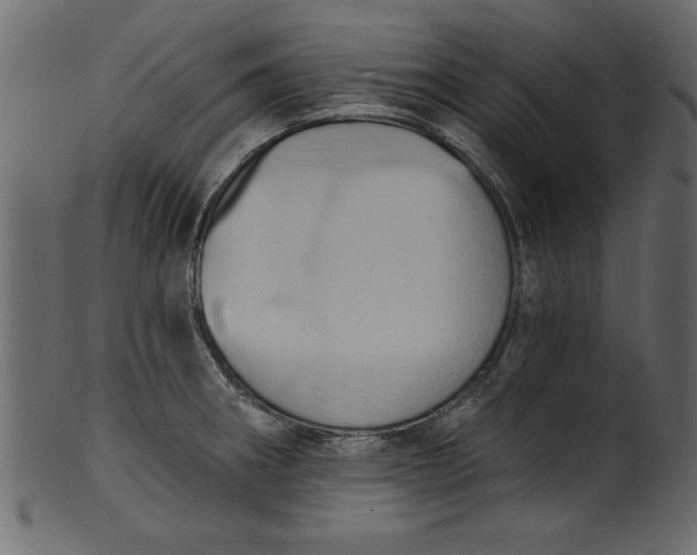 X0000101211282200807181410