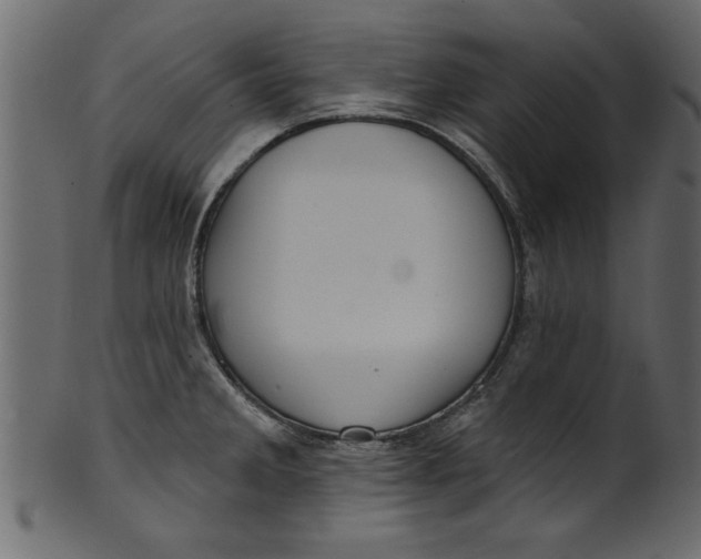 X0000101211285200807181410