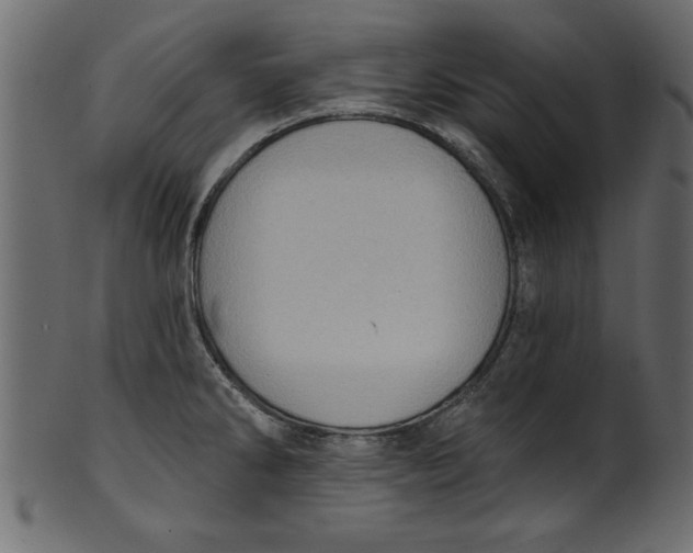 X0000101211286200807181410