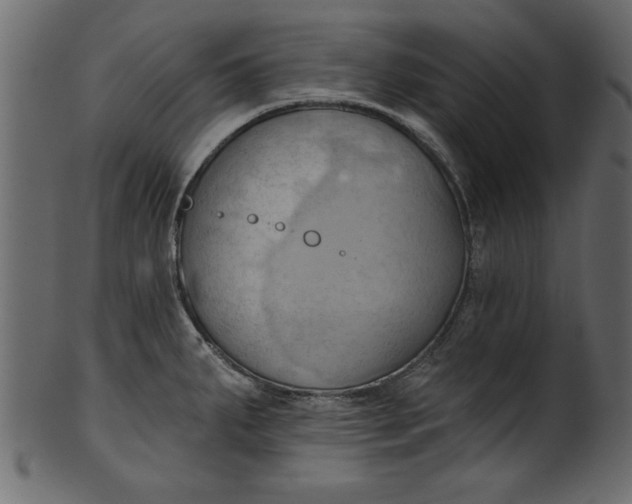 X0000101211287200807181410