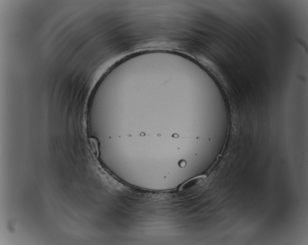 X0000101211288200807181410