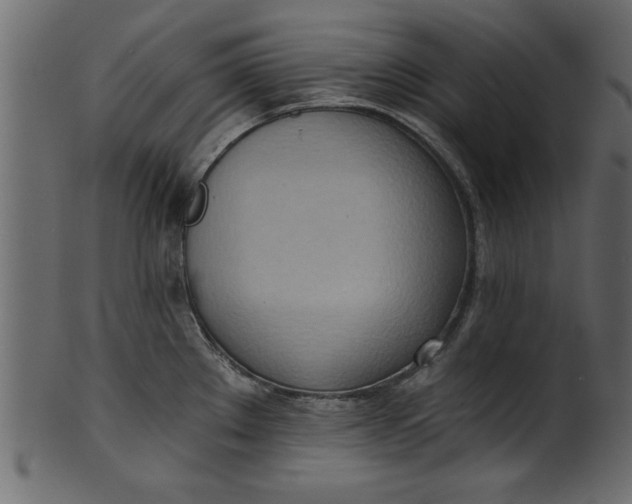 X0000101211289200807181410