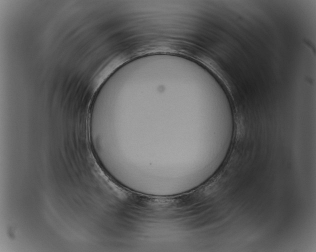 X0000101211290200807181409