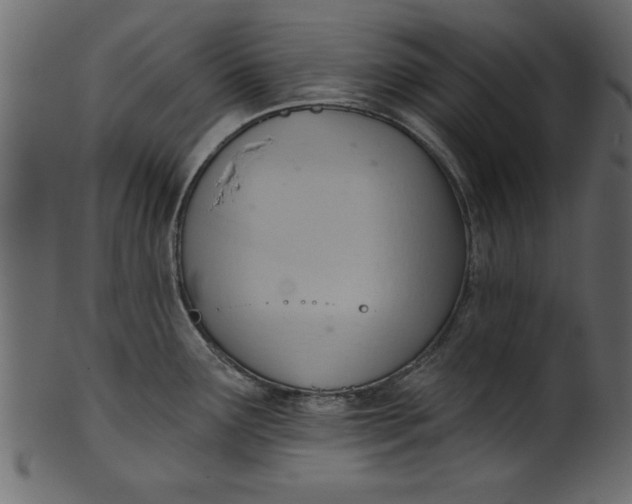 X0000101211291200807181409