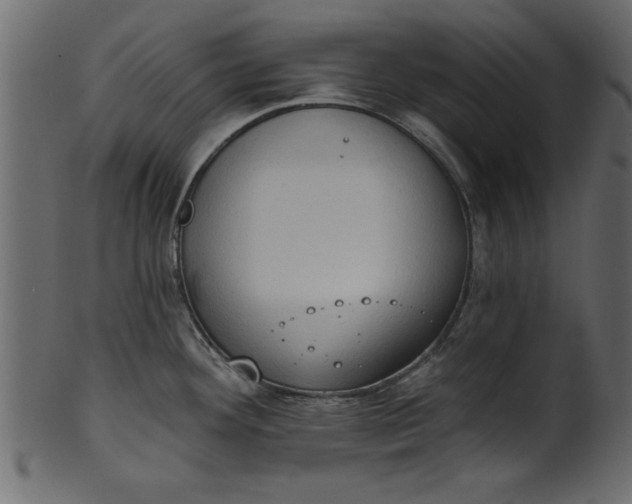 X0000101211292200807181409