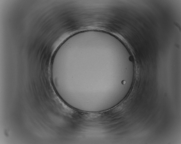 X0000101211294200807181409