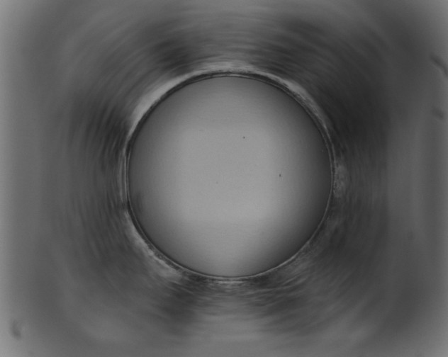 X0000101211295200807181409