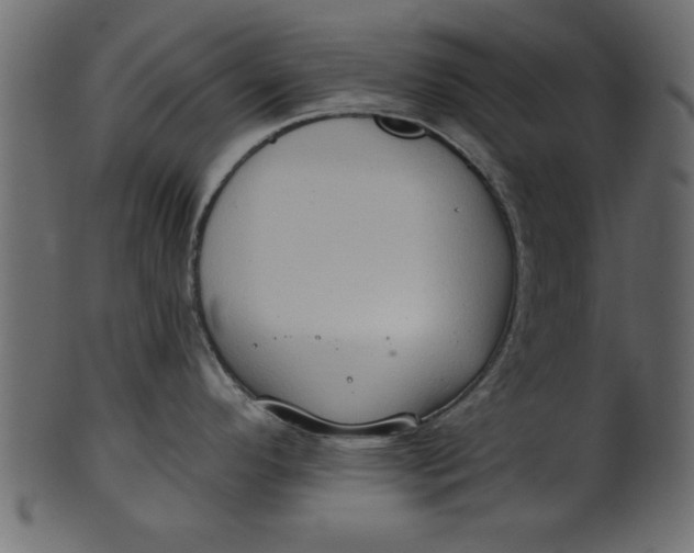 X0000101211296200807181409