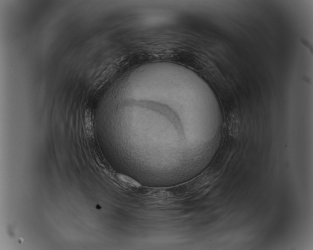 X0000101211298200807181409