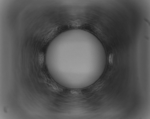 X0000101211299200807181409