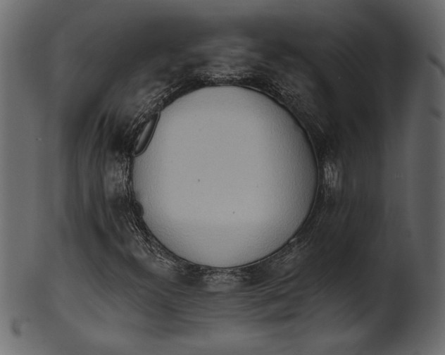 X0000101211300200807181409