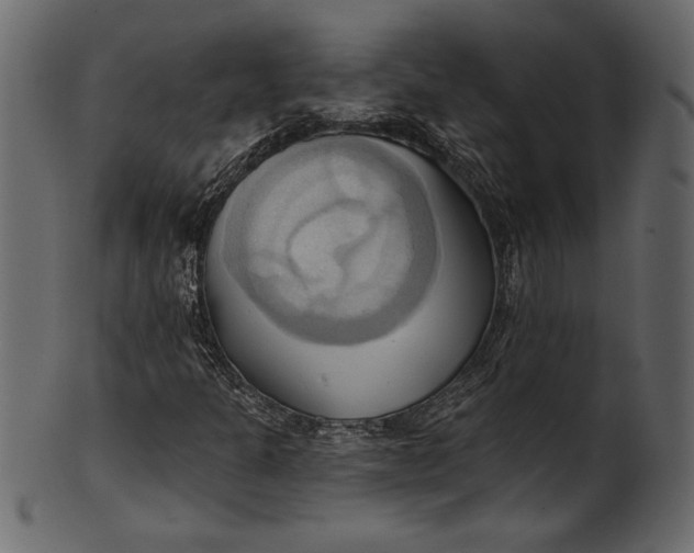 X0000101211301200807181409