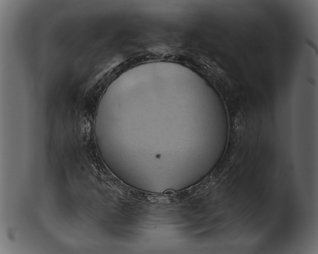 X0000101211302200807181409